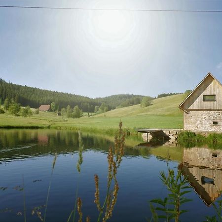 Villa Ferienhaus Im Schwarzwald Am See "Backhaeusle" Hornberg Exterior foto